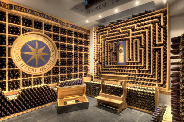 Wine Club Tenuta San Guido