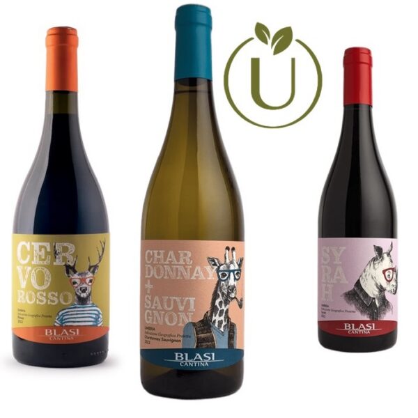 Cantine Blasi TASTING KIT