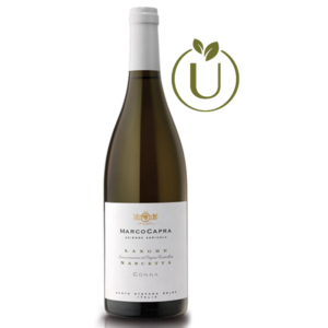 Langhe DOC Nascetta 'CONNA' Degustazione
