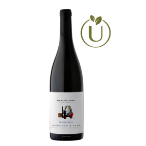 Nebbiolo D'Alba DOC 'TESTANVISCA' DEGUSTAZIONE