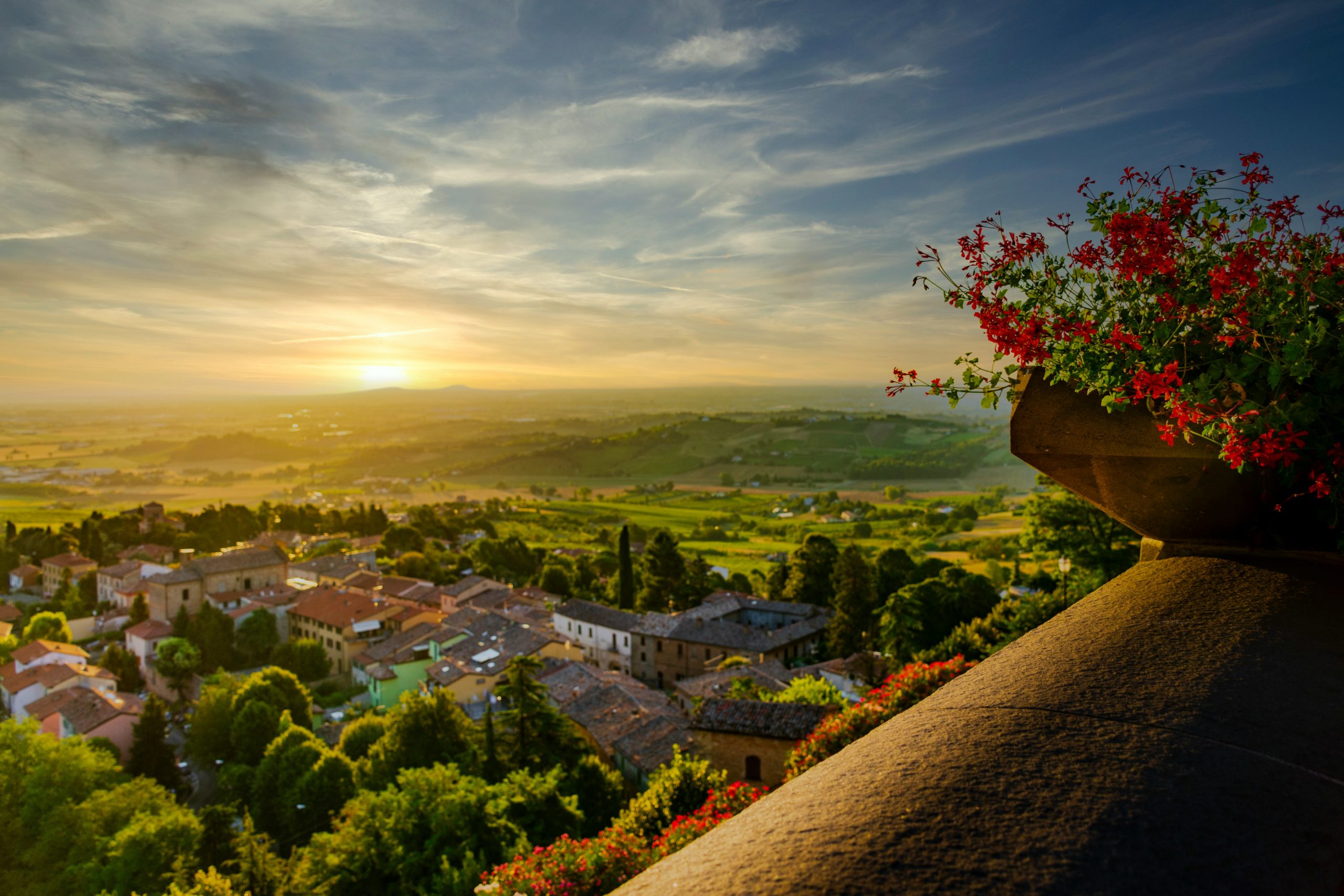 Wine producers Emilia-Romagna